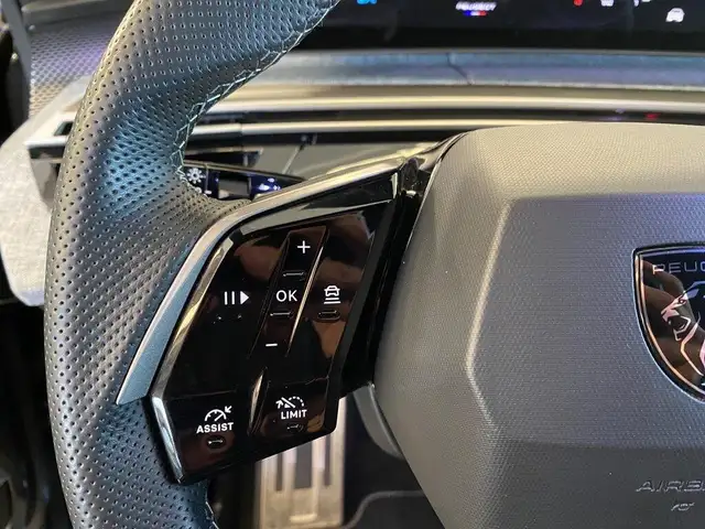 Peugeot 3008 view 13