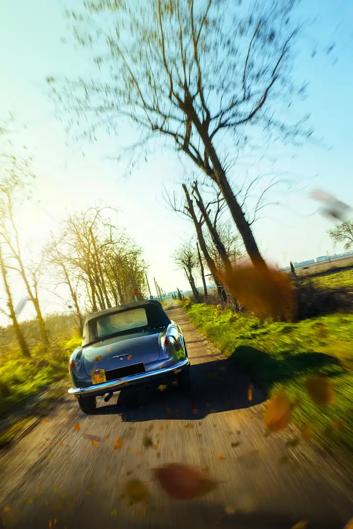 Lancia Aurelia B24 Сірий - 2