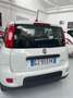 Fiat Panda 1.0 FireFly S&S Hybrid City Life Blanco - thumbnail 7