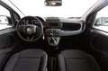 Fiat Panda 4x2 FireFly Hybrid 70 Pandina Weiß - thumbnail 5