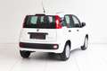 Fiat Panda 4x2 FireFly Hybrid 70 Pandina Weiß - thumbnail 2