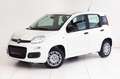 Fiat Panda 4x2 FireFly Hybrid 70 Pandina Weiß - thumbnail 1