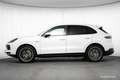 Porsche Cayenne E-Hybrid V6 CLUBLEDER LUFT PANO SITZKLIMA Weiß - thumbnail 3