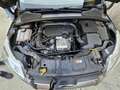Ford Focus 1.0 EcoBoost 125 CV SW Titanium NEOPATETI OK !! Argento - thumbnail 12