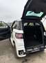 Ligier JS 60 L Sport Ultimate Weiß - thumbnail 4