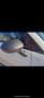 Abarth 595 Pista - thumbnail 5