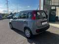 Fiat Panda 1.0 firefly hybrid  - PRONTA CONSEGNA Km 28.300 Grigio - thumbnail 6
