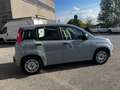 Fiat Panda 1.0 firefly hybrid  - PRONTA CONSEGNA Km 28.300 Grigio - thumbnail 8