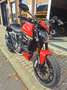Ducati Monster 937 + Rojo - thumbnail 4