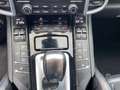 Porsche Cayenne Diesel  2 Platinum Edition Wit - thumbnail 19