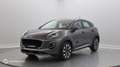 Ford Puma 1.0 Flexifuel 125ch S\u0026S mHEV Titanium - thumbnail 1