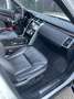 Land Rover Discovery 5 2,0 TD4 HSE Luxury Aut. Weiß - thumbnail 14