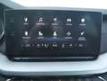 Skoda Octavia Combi 1,5 TSI/Hybrid Business iV DSG, AHK, NAVI... Weiß - thumbnail 21