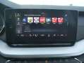 Skoda Octavia Combi 1,5 TSI/Hybrid Business iV DSG, AHK, NAVI... Weiß - thumbnail 24