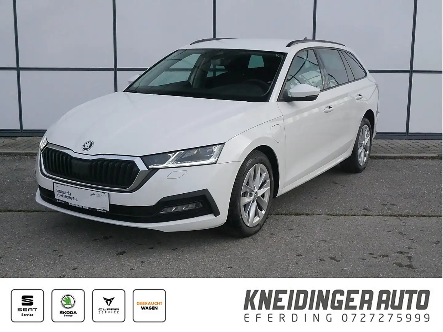 Skoda Octavia Combi 1,5 TSI/Hybrid Business iV DSG, AHK, NAVI... Weiß - 1