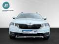 Skoda Octavia Combi Scout 4x4|Kamera|LED|Anhängerkppl. Wit - thumbnail 4
