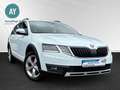Skoda Octavia Combi Scout 4x4|Kamera|LED|Anhängerkppl. Wit - thumbnail 1