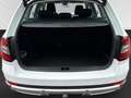 Skoda Octavia Combi Scout 4x4|Kamera|LED|Anhängerkppl. Wit - thumbnail 20