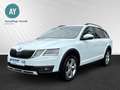 Skoda Octavia Combi Scout 4x4|Kamera|LED|Anhängerkppl. Wit - thumbnail 3