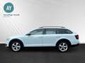 Skoda Octavia Combi Scout 4x4|Kamera|LED|Anhängerkppl. Wit - thumbnail 6