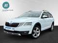 Skoda Octavia Combi Scout 4x4|Kamera|LED|Anhängerkppl. Wit - thumbnail 2