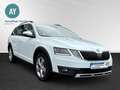 Skoda Octavia Combi Scout 4x4|Kamera|LED|Anhängerkppl. Wit - thumbnail 5