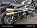Triumph Street Scrambler Groen - thumbnail 6