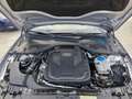 Audi A6 A6 2.0 tdi ultra Business Plus 190cv s-tronic my17 Grau - thumbnail 29