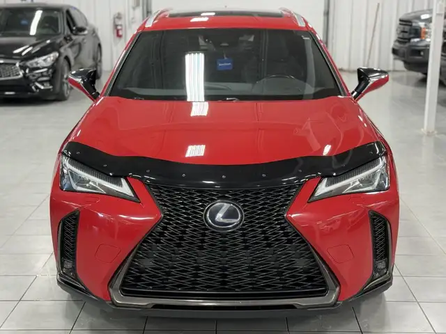 Lexus UX 2019 — photo 2