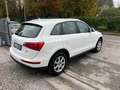 Audi Q5 Q5 2.0 TDI 170 CV quattro Alb - thumbnail 4