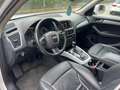 Audi Q5 Q5 2.0 TDI 170 CV quattro Alb - thumbnail 10