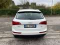 Audi Q5 Q5 2.0 TDI 170 CV quattro Alb - thumbnail 5