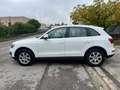 Audi Q5 Q5 2.0 TDI 170 CV quattro Alb - thumbnail 6