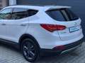 Hyundai SANTA FE Premium 4WD Xenon Navi Leder Kamera Weiß - thumbnail 10