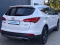 Hyundai SANTA FE Premium 4WD Xenon Navi Leder Kamera Weiß - thumbnail 5