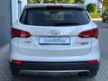 Hyundai SANTA FE Premium 4WD Xenon Navi Leder Kamera Weiß - thumbnail 6