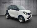 smart forTwo fortwo COOL&AUDIO+TEMPOMAT+BREMSASSI+KLIMAAUTO BC Weiß - thumbnail 3