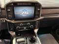 Ford F 150 Titanium 5,0 V8 Vollausstattung Grau - thumbnail 13