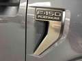Ford F 150 Titanium 5,0 V8 Vollausstattung Grau - thumbnail 24