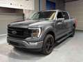 Ford F 150 Titanium 5,0 V8 Vollausstattung Grau - thumbnail 1