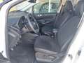 Ford EcoSport 1.0 EcoBoost 125 CV Start&Stop ST-Line Bianco - thumbnail 6