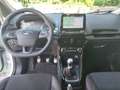 Ford EcoSport 1.0 EcoBoost 125 CV Start&Stop ST-Line Bianco - thumbnail 12