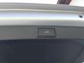 Skoda Octavia 4x4 Ambition TDI DSG Plateado - thumbnail 17