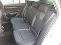 Skoda Octavia 4x4 Ambition TDI DSG Argent - thumbnail 13