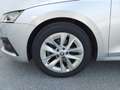 Skoda Octavia 4x4 Ambition TDI DSG Argent - thumbnail 15