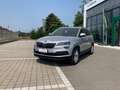 Skoda Karoq Karoq 1.5 tsi Executive dsg Zilver - thumbnail 1