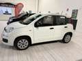 Fiat Panda 1.2 70CV KM. CERT. COME NUOVA AZIENDALE UNICO PROP Bianco - thumbnail 6