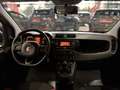 Fiat Panda 1.2 70CV KM. CERT. COME NUOVA AZIENDALE UNICO PROP Bianco - thumbnail 10