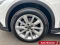 Volkswagen Golf VIII Variant Alltrack 4M 2.0 TDI AHK LED-Scheinwer Blanco - thumbnail 13