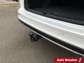 Volkswagen Golf VIII Variant Alltrack 4M 2.0 TDI AHK LED-Scheinwer Blanco - thumbnail 12